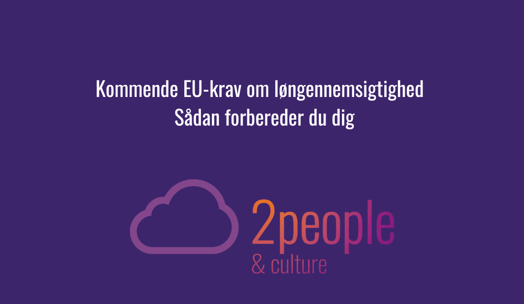 Kommende EU-krav om løngennemsigtighed : Sådan forbereder du dig